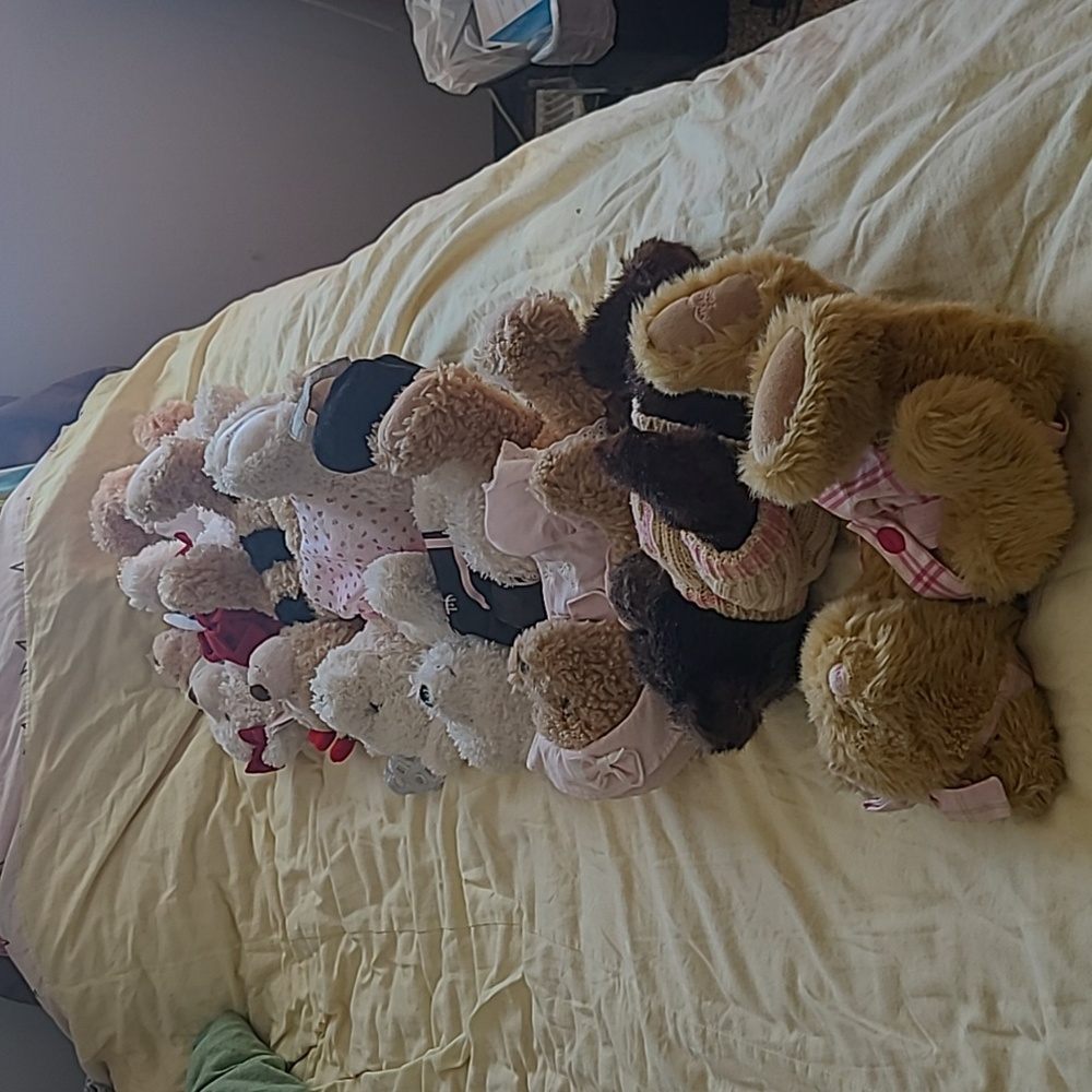 Mary kay bears